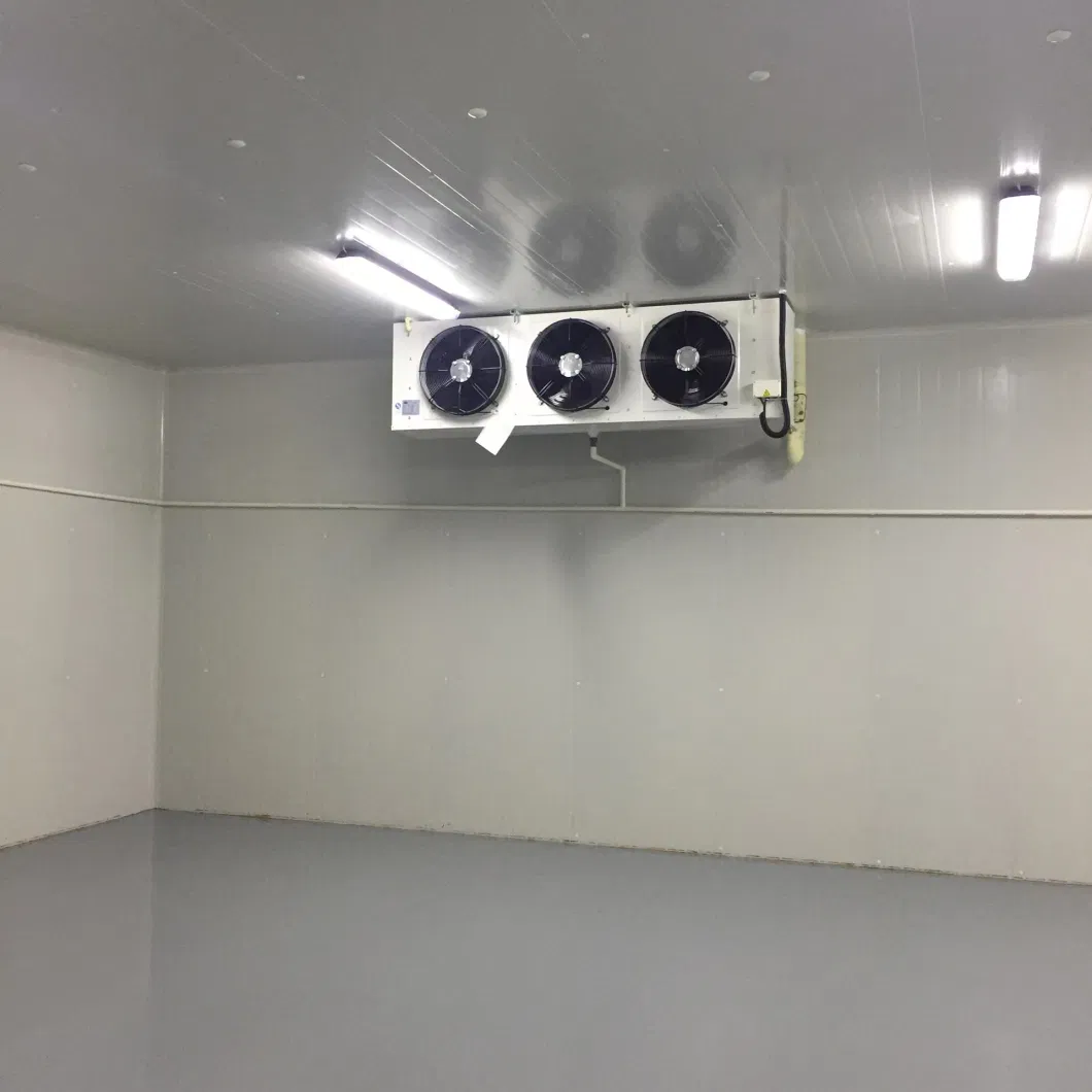 Prefabricated Commercial Walk-in Deep Blast Frozen Cold Storage Roomsupcool Refrigeration Equipments for Food Cold Room