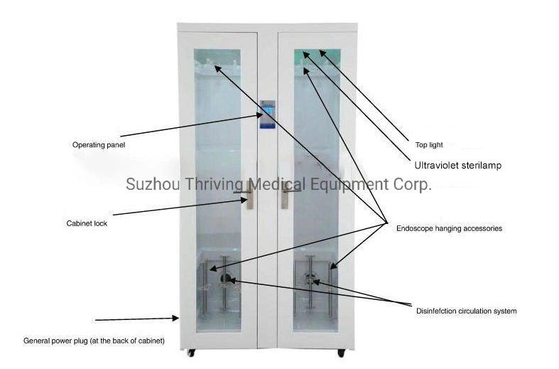 Flexible Endoscopy Storage Disinfection Endoscope Cabinet Double Door with UV Disinfection UV Lamps