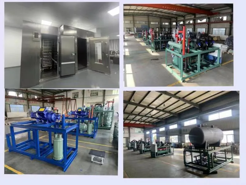 Prefabricated Commercial Walk-in Deep Blast Frozen Cold Storage Roomsupcool Refrigeration Equipments for Food Cold Room