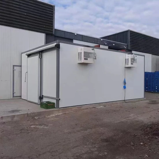 Prefabricated Commercial Walk